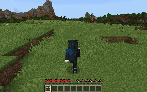 Sonic etiklari — Minecraft mod, rasm 3