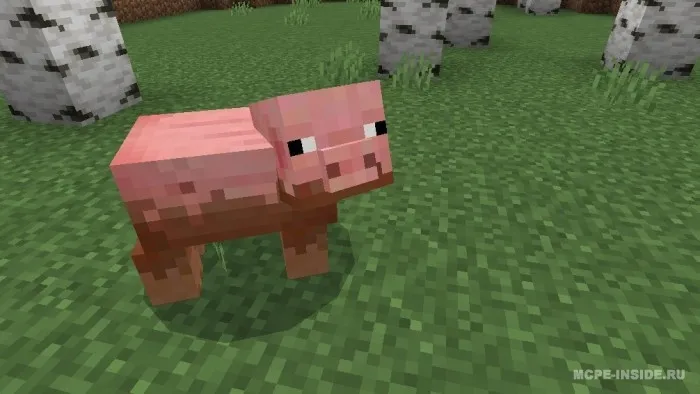 Omon qolish + — Minecraft mod, rasm 4
