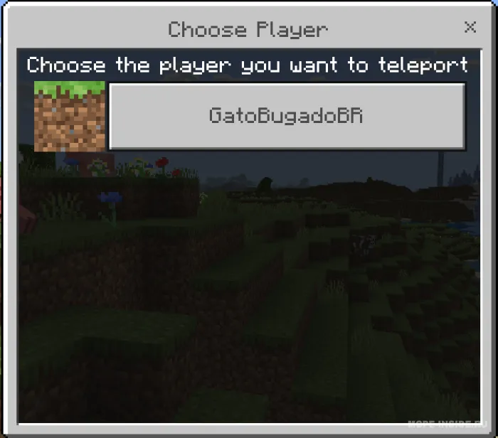 Teleportatsiya zelyesi — Minecraft mod, rasm 1