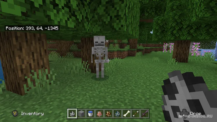 Skelet yangilanishi — Minecraft mod, rasm 1