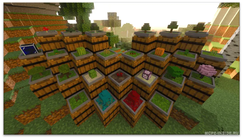 Bonsay daraxtlari — Minecraft mod, rasm 1