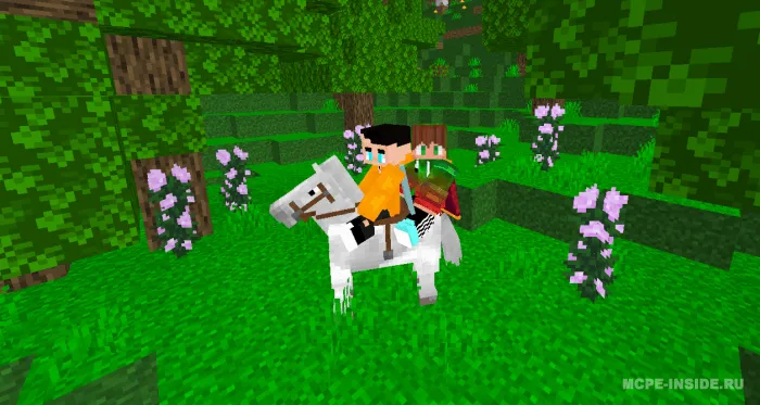 2 kishilik ot minish — Minecraft mod, rasm 2