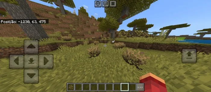 Eng yaxshi savanna — Minecraft mod, rasm 1