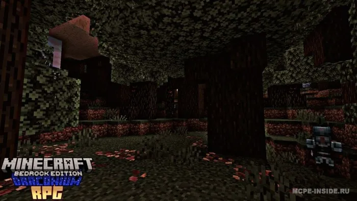 Draconium RPG — Minecraft mod, rasm 2