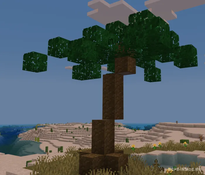 Cho'l yangilanishi — Minecraft mod, rasm 2