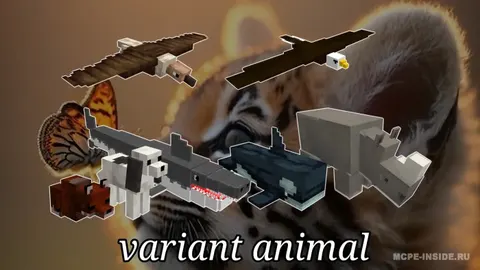Hayvonlar xilma-xilligi