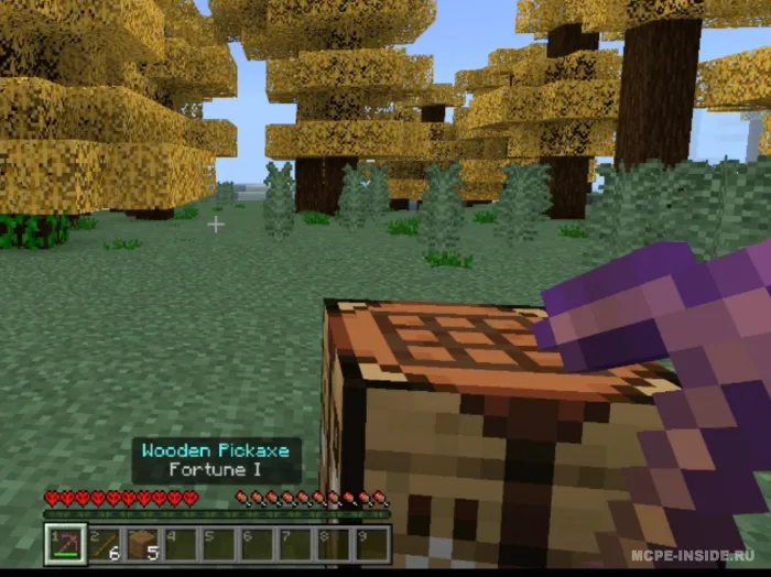 Tasodifiy sehr — Minecraft mod, rasm 1