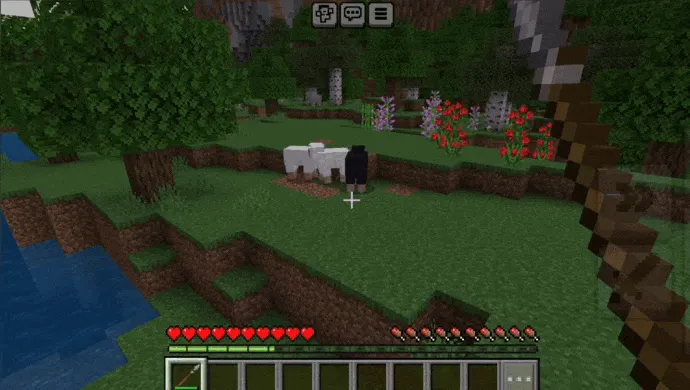 Nizalar — Minecraft mod, rasm 1