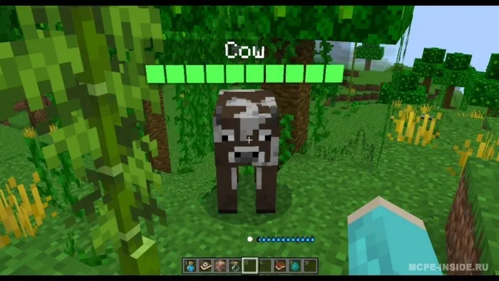 Dinamik sog'liq shkalasi — Minecraft mod, rasm 1