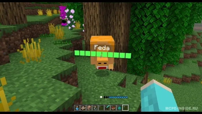 Dinamik sog'liq shkalasi — Minecraft mod, rasm 2