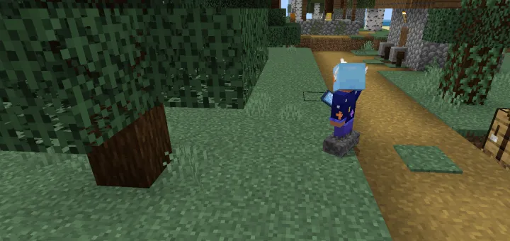 Kuzatuv kameralari — Minecraft mod, rasm 4