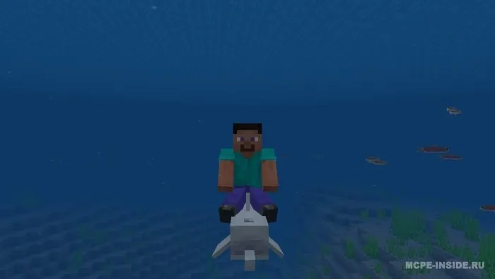 Qo'lga o'rgatiladigan delfinlar — Minecraft mod, rasm 4