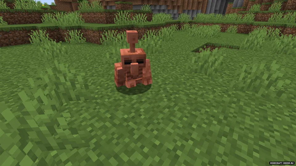 Lost Features — Minecraft mod, rasm 6