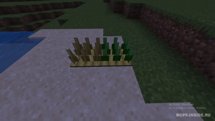 Qopqonlar plyus — Minecraft mod, rasm 1