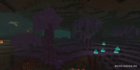 Yaxshilangan Nether