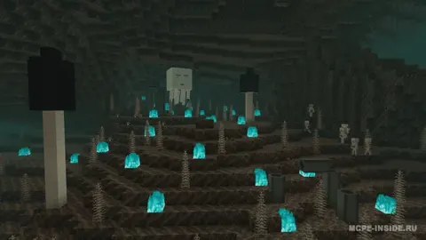 Nezerni qayta ishlash
