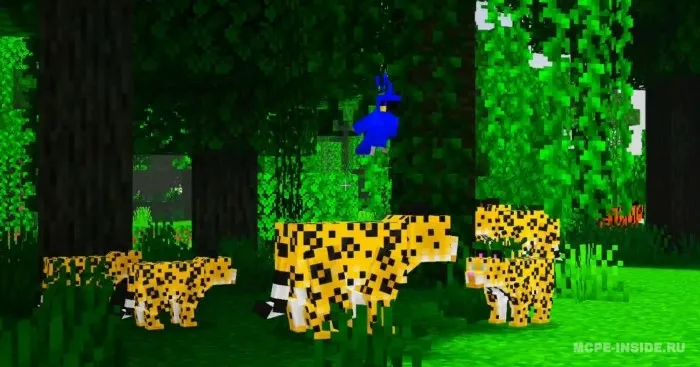 Mushuklar qirolligi — Minecraft mod, rasm 1