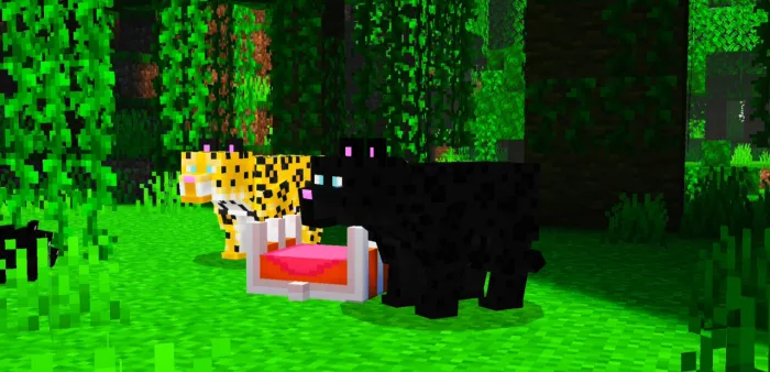 Mushuklar qirolligi — Minecraft mod, rasm 2