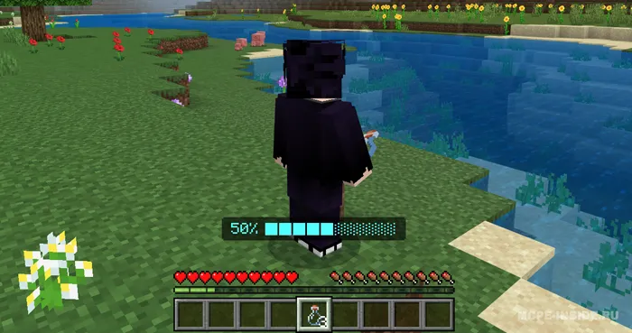 Changash — Minecraft mod, rasm 2