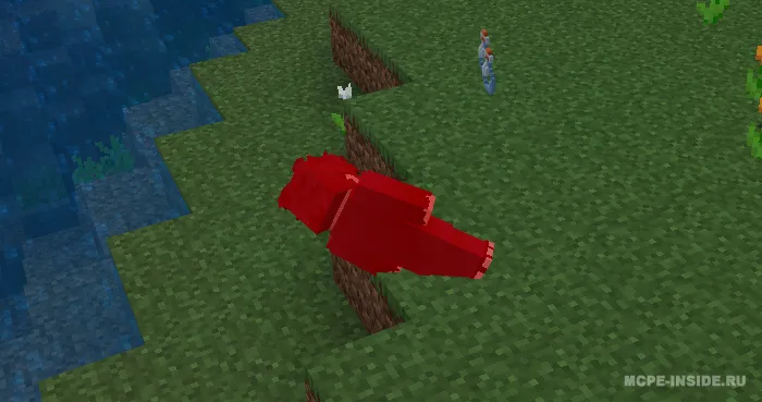 Changash — Minecraft mod, rasm 3
