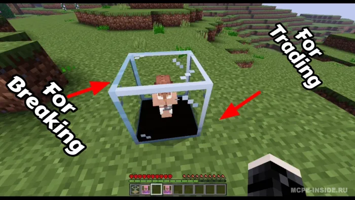 Qishloqlik minion — Minecraft mod, rasm 2