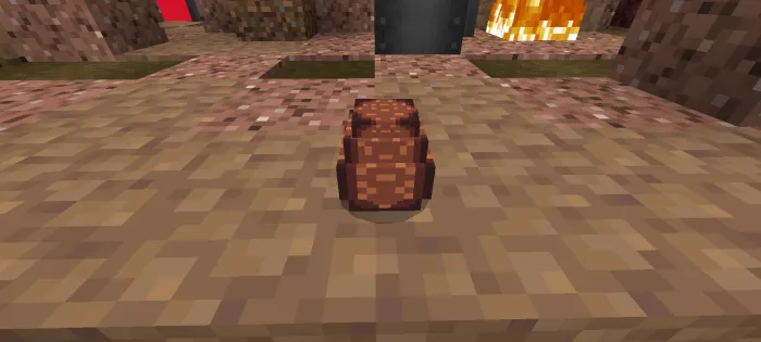 Tinch joy — Minecraft mod, rasm 4