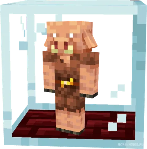 Piglinlar uchun katak