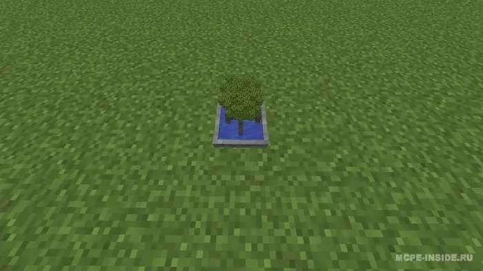 Bonsai — Minecraft mod, rasm 4