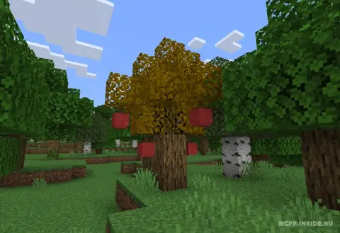 Craftmon merosi