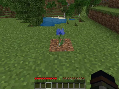 Qo'riqchi bloklar — Minecraft mod, rasm 3