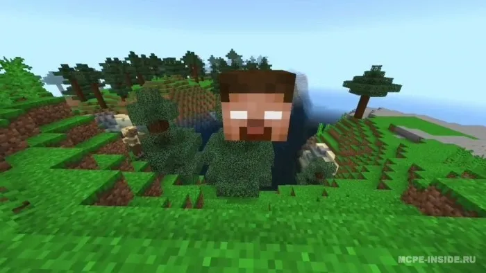 Bosh o'g'irlash — Minecraft mod, rasm 1