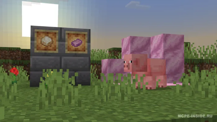 Cho'chqani yangilash — Minecraft mod, rasm 1