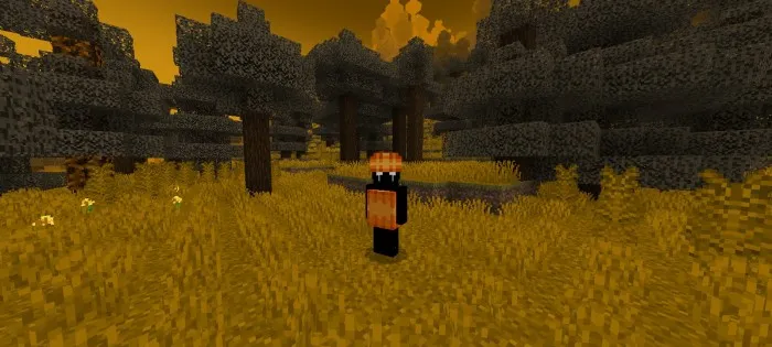 Denning Xellouini — Minecraft mod, rasm 2
