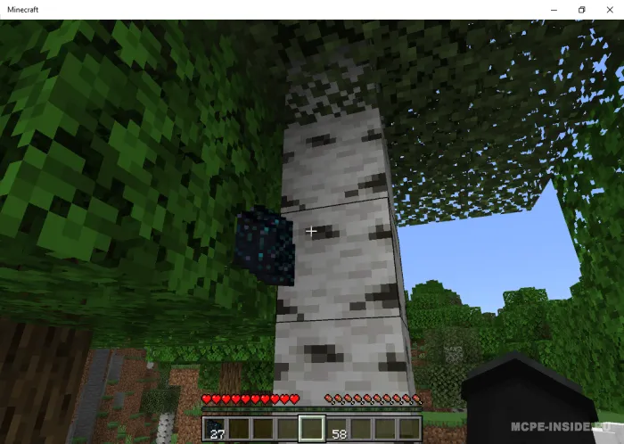 Ko'rinmas bloklar — Minecraft mod, rasm 2