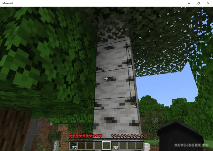 Ko'rinmas bloklar — Minecraft mod, rasm 4