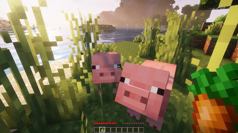 Longer Following Time — Minecraft mod, rasm 2