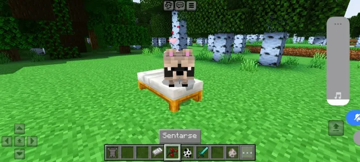 Yuvash — Minecraft mod, rasm 3