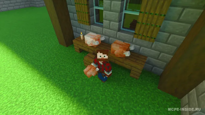 Kurka — Minecraft mod, rasm 2