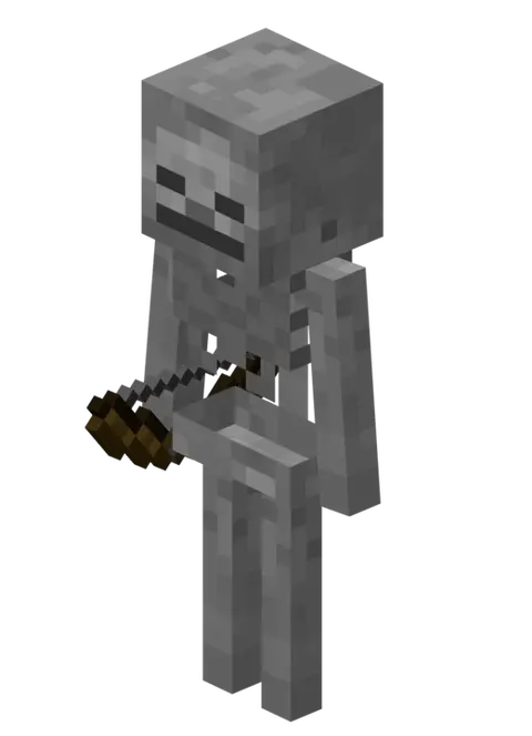 Skeletlar variantlari