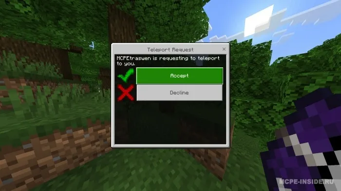 Teleportatsiya soʻrovi — Minecraft mod, rasm 2