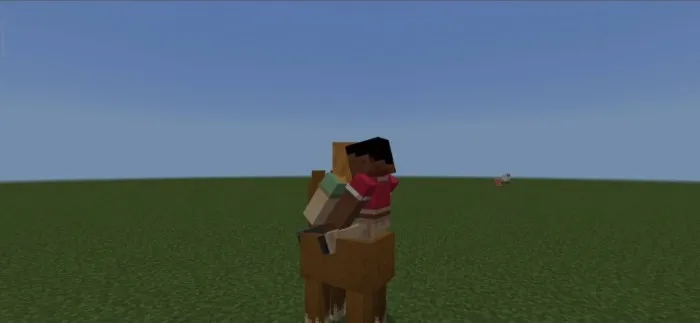 Koʻplab chavandozlar — Minecraft mod, rasm 3