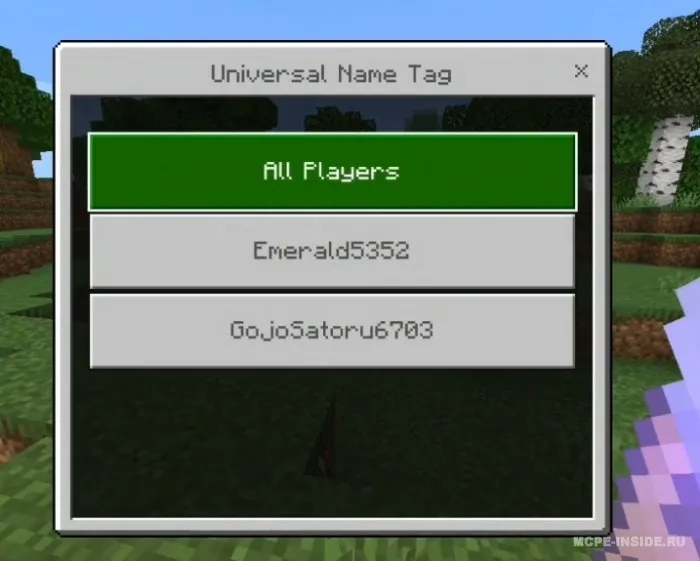 O'yinchini qayta nomlash — Minecraft mod, rasm 3