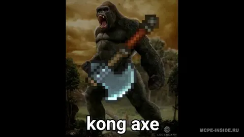 Kong boltasi