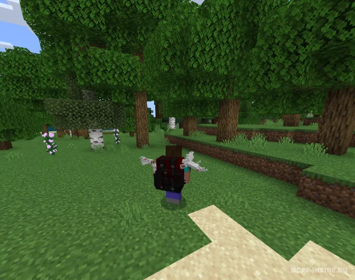 Lyuda ryukzaklari — Minecraft mod, rasm 4