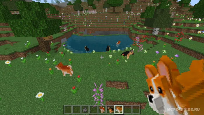 Pushti itlar — Minecraft mod, rasm 2