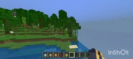 Baliqsiz ko'proq — Minecraft mod, rasm 3