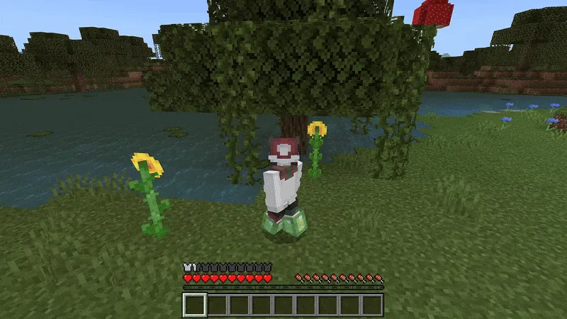 Slime etiklar — Minecraft mod, rasm 2