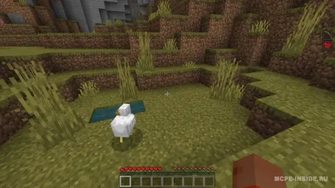 Minecraft, lekin har zarbadan keyin effekt olasiz