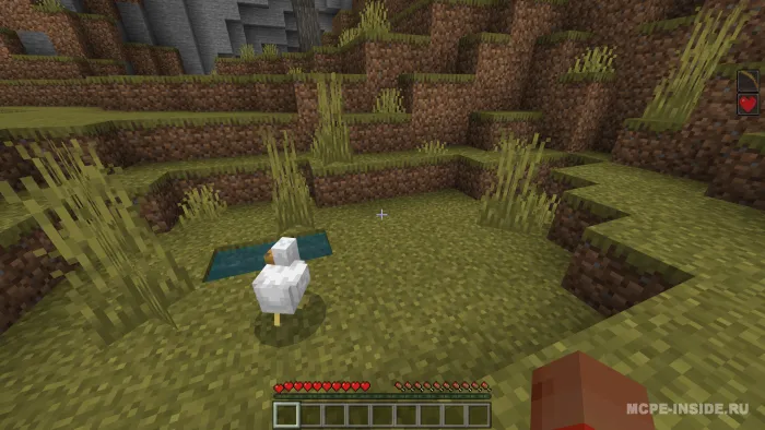 Minecraft, lekin har zarbadan keyin effekt olasiz — Minecraft mod, rasm 1