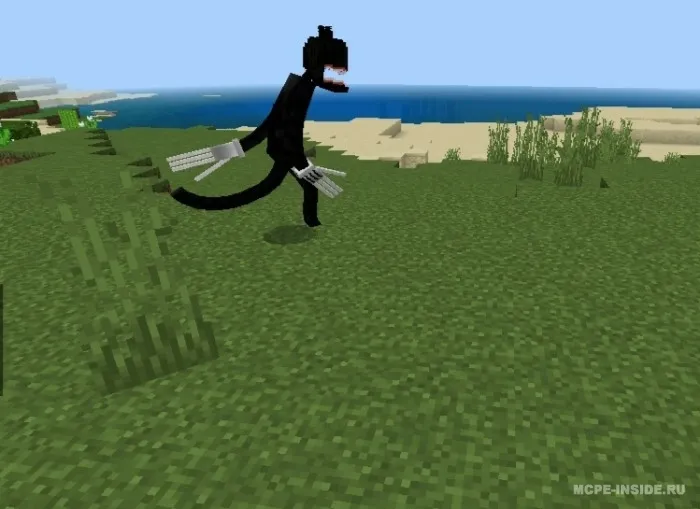 Multfilm qahramoni — Minecraft mod, rasm 3